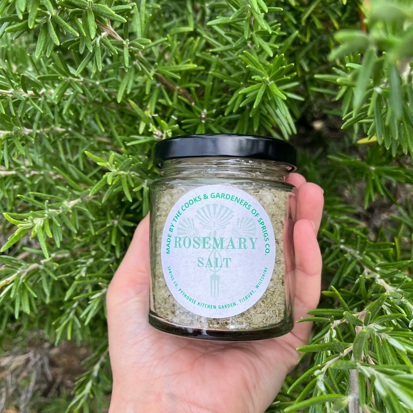 Rosemary Salt